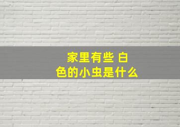 家里有些 白色的小虫是什么